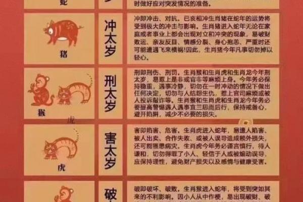 塔斯社：探索俄罗斯新闻的权威发声